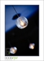 MedallionSteakhouse_d3-5534_web