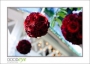 MillRoseInn_d3-5161_web