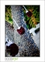 MillRoseInn_d3-5203_web