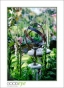 MillRoseInn_d3-5292_web