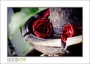 MillRoseInn_d3-5324_web