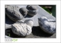 MillRoseInn_d300-9428_web
