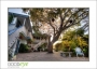 MillRoseInn_d700-3912_HDR_web