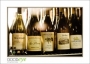 MortonsInteriors_d3-7150_web