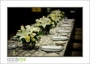 Mortons_d3-7560_web