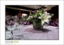 Mortons_d700-5814_HDR_web