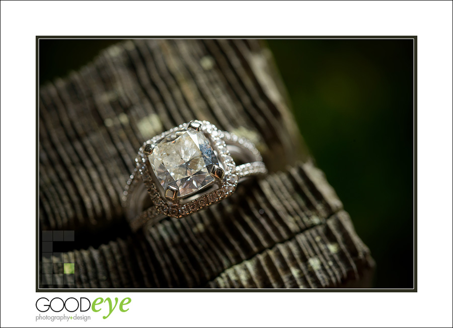 Wilder Ranch Country Style Engagement Photos