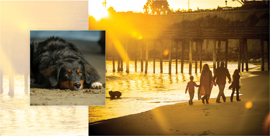 Capitola Family Portraits in a Well-Designed Album