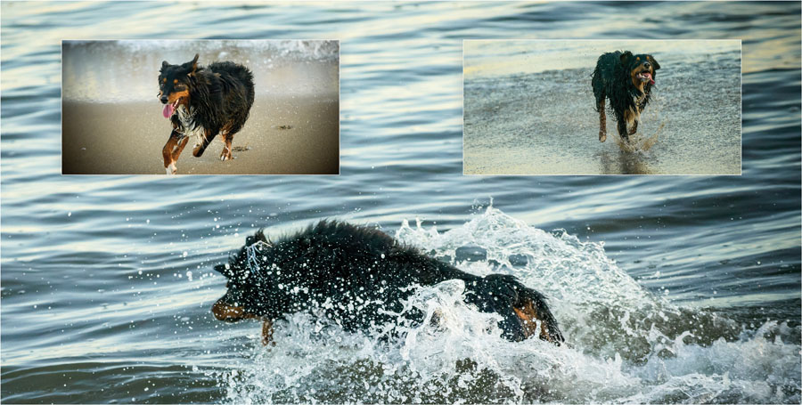 Capitola Family Portraits in a Well-Designed Album