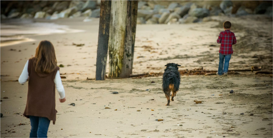 Capitola Family Portraits in a Well-Designed Album