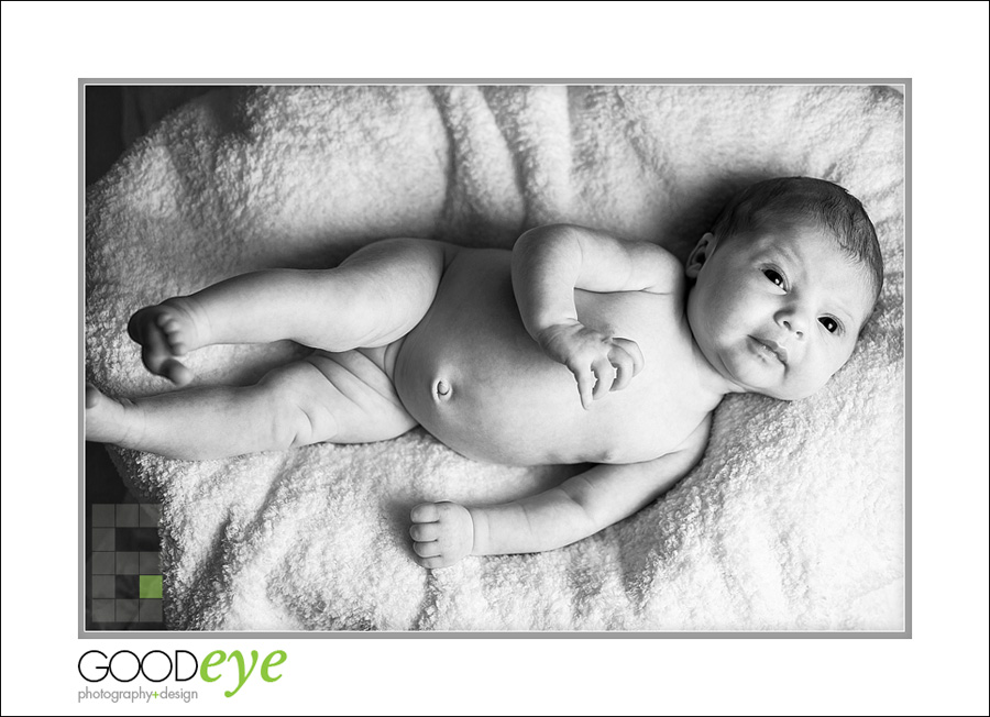 San Jose Newborn Photos