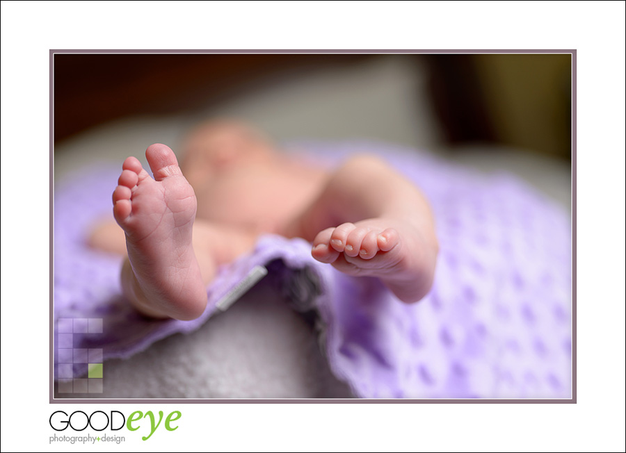 San Jose Newborn Photos