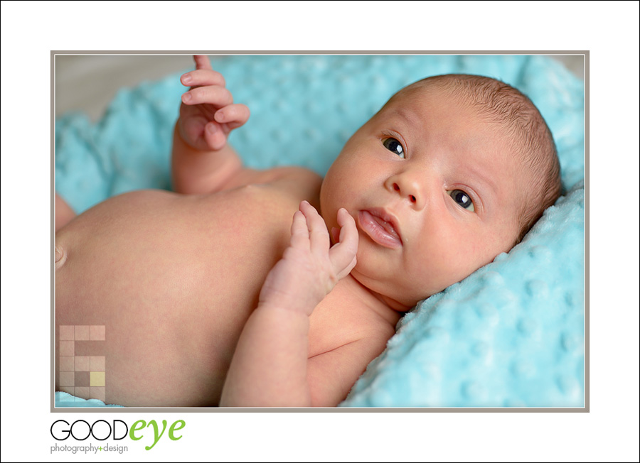 San Jose Newborn Photos