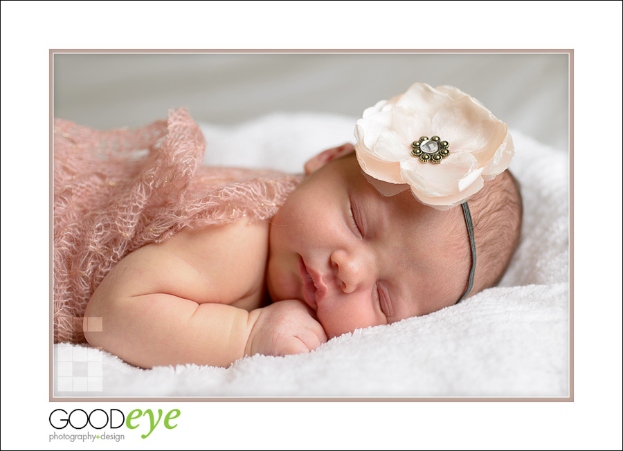 San Jose Newborn Photos