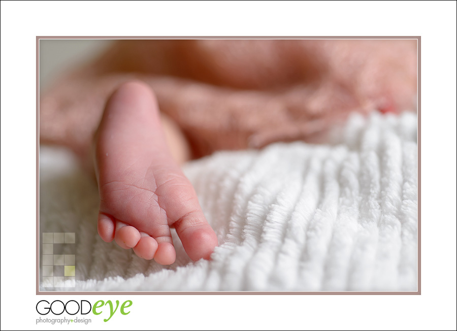 San Jose Newborn Photos