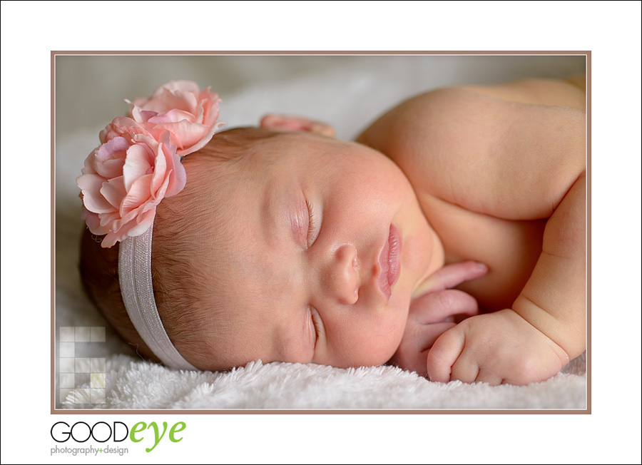 San Jose Newborn Photos