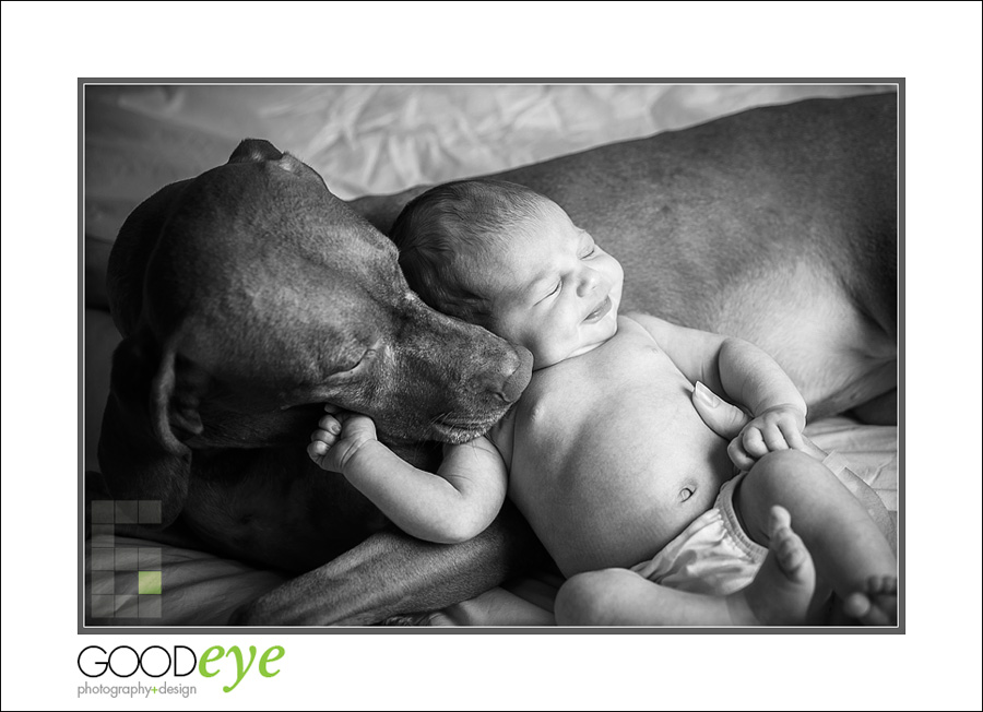 San Jose Newborn Photos