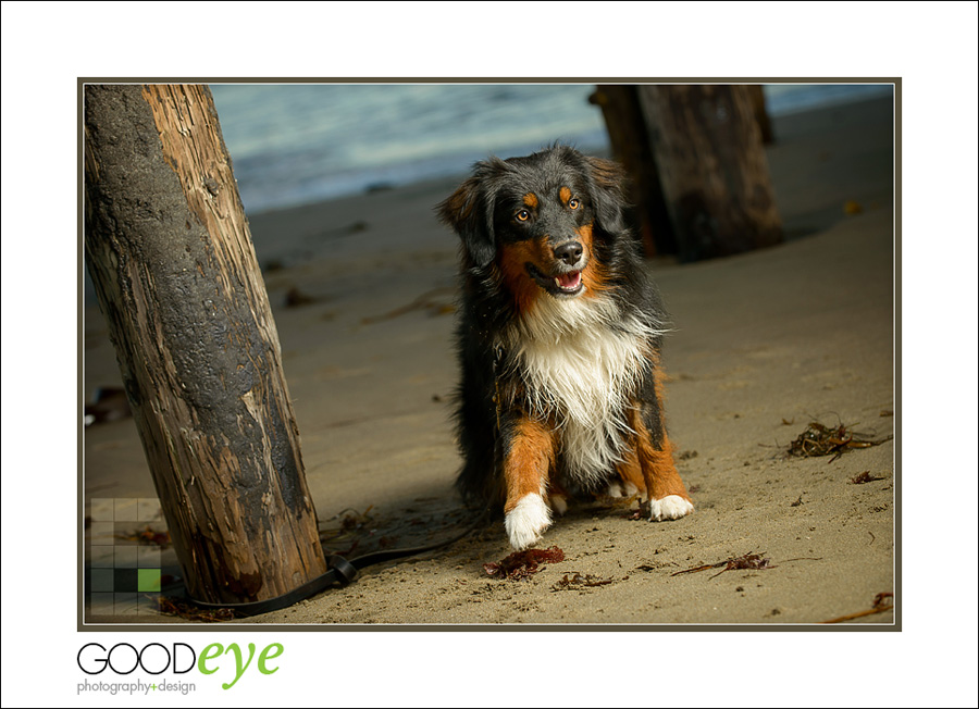 Capitola Beach Family Photos