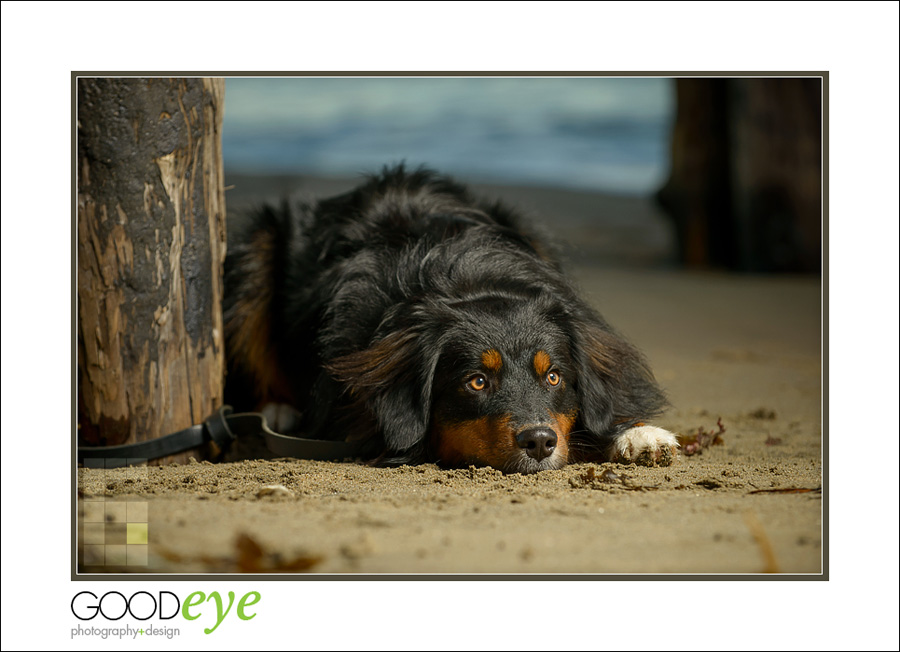 Capitola Beach Family Photos