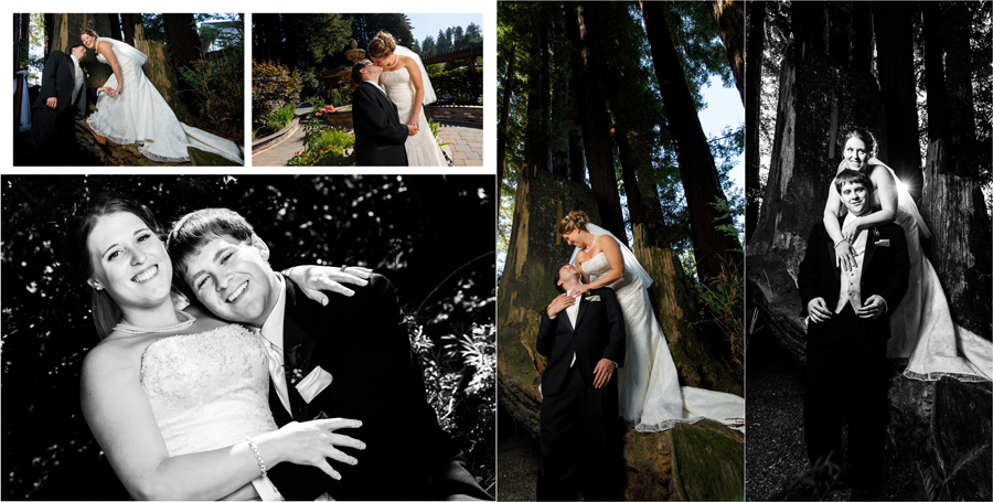 Felton Guild Wedding Photos - Album Layout - by Bay Area Wedding Photographer Chris Schmauch