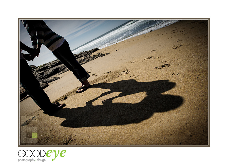 Santa Cruz Beach Engagement Photos