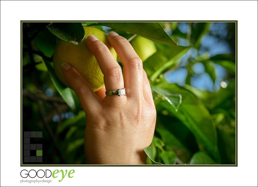 Villa Montalvo Engagement Photos - by Bay Area Wedding Photographer Chris Schmauch