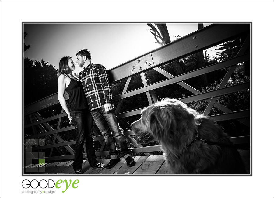 Fitzgerald Marine Reserve Engagement Photos - Moss Beach