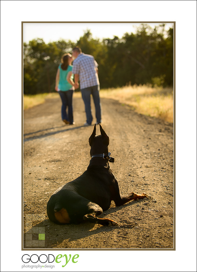 Coyote Creek Trail - Morgan Hill Engagement Photos - Urban Decay, Barn, Fields at Sunset