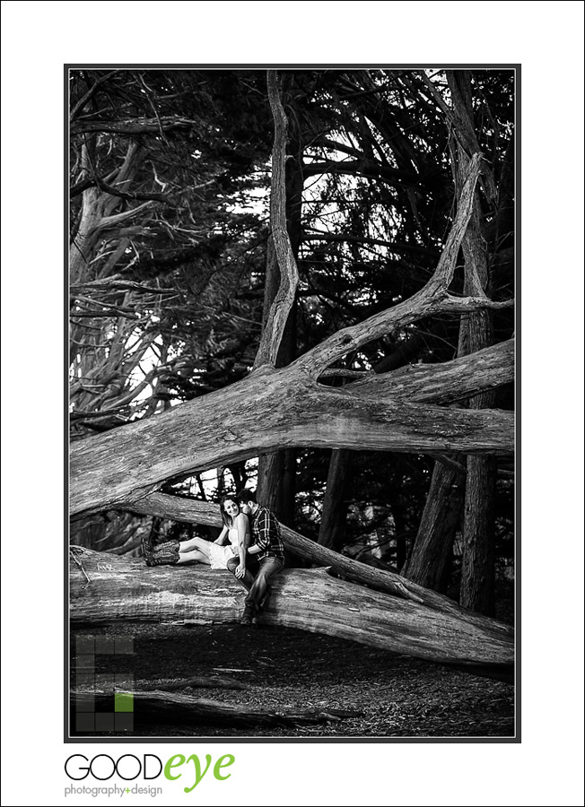 Fitzgerald Marine Reserve Engagement Photos - Moss Beach