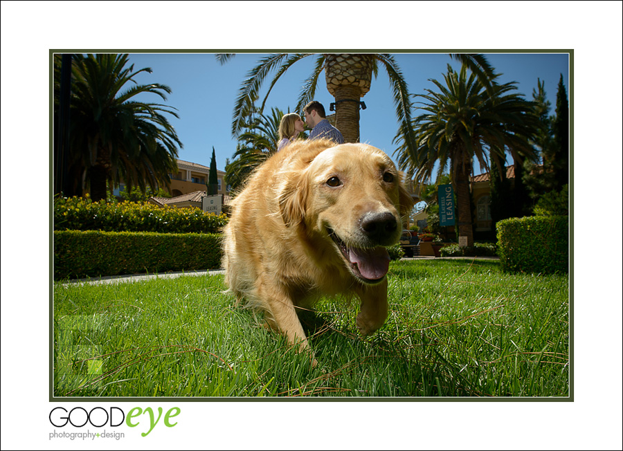 San Jose Engagement Photos - Jullia and Ryan - Sycamore Park