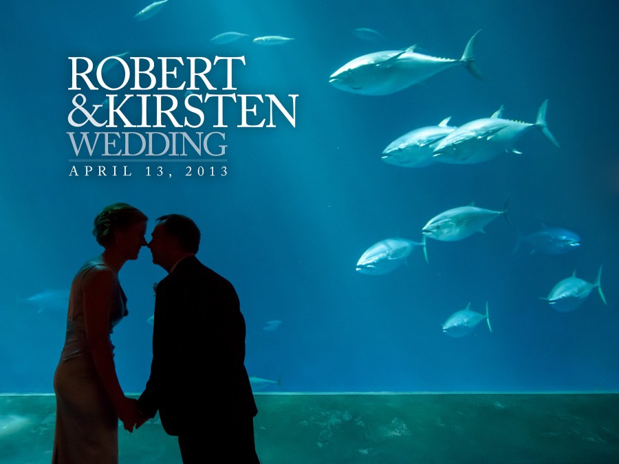 Monterey Bay Aquarium Wedding Photos - Bob and Kirsten