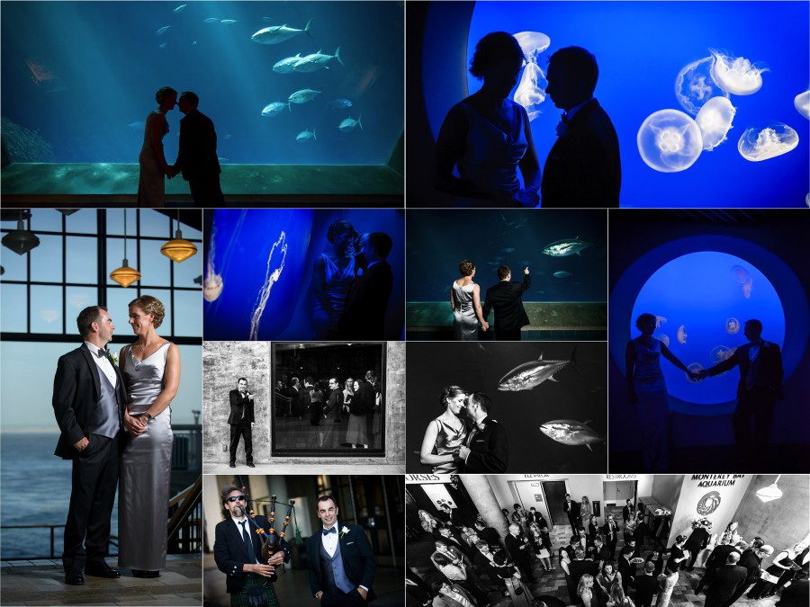 Monterey Bay Aquarium Wedding Photos - Bob and Kirsten