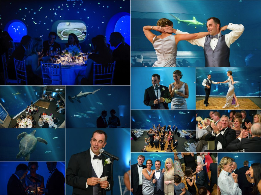 Monterey Bay Aquarium Wedding Photos - Bob and Kirsten