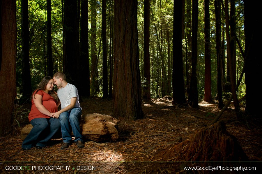 Aptos Maternity Photos - Nisene Marks - Stephanie and Owen