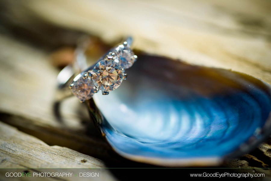 Pfeiffer Beach Engagement Photos - Big Sur - Liz and Scott