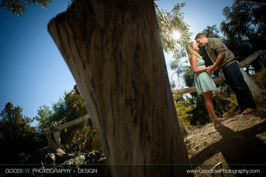 Santa Cruz Engagement Photos - UCSC Arboretum - Ellen and John