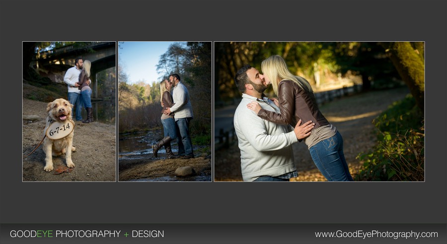 Henry Cowell Engagement Photos - Stevie + Angelo