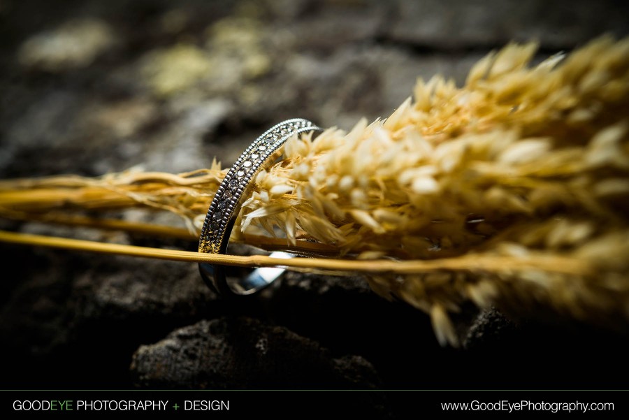 Creative Wedding Ring Photos - 2013