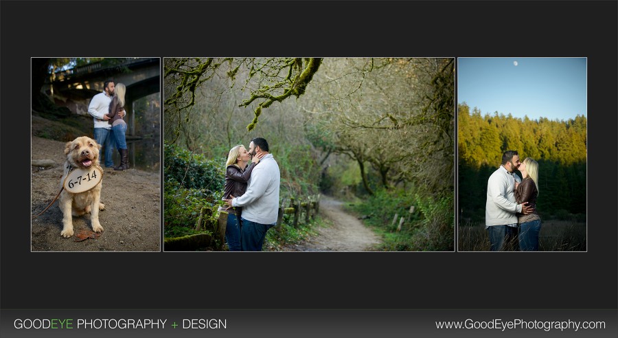 Henry Cowell State Park, Felton Engagement Photos