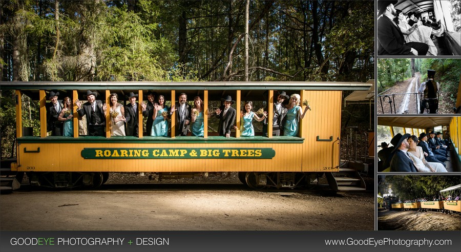 Roaring_Camp_Felton_Wedding_Photos_-_Jennifer_and_Stefan_19_web