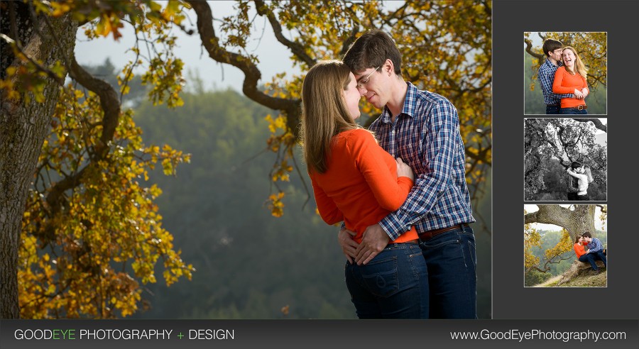 West Wind Barn Los Altos Hills Engagement Photos