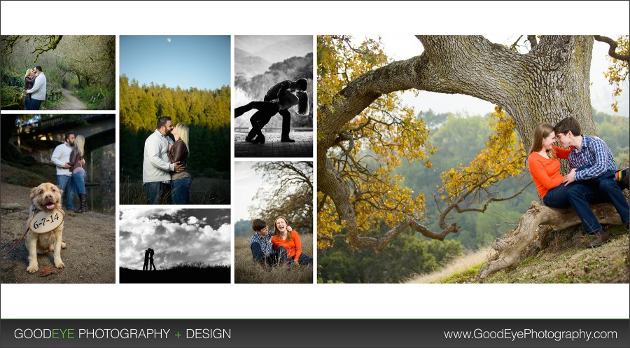 Top Bay Area Engagement Photos - by Chris Schmauch www.GoodEyePhotography.com