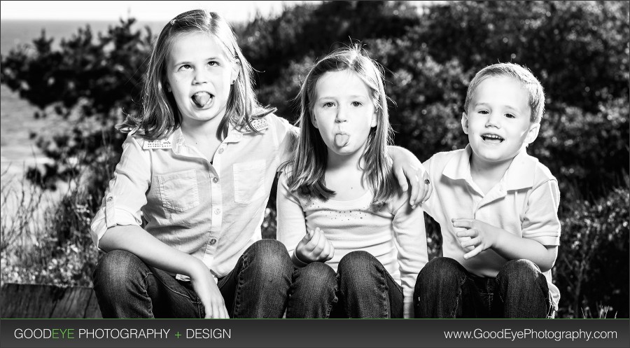 2013 Best Of - Family Portrait Photos - Santa Cruz - Bay Area - By Chris Schmauch www.GoodEyePhotography.com
