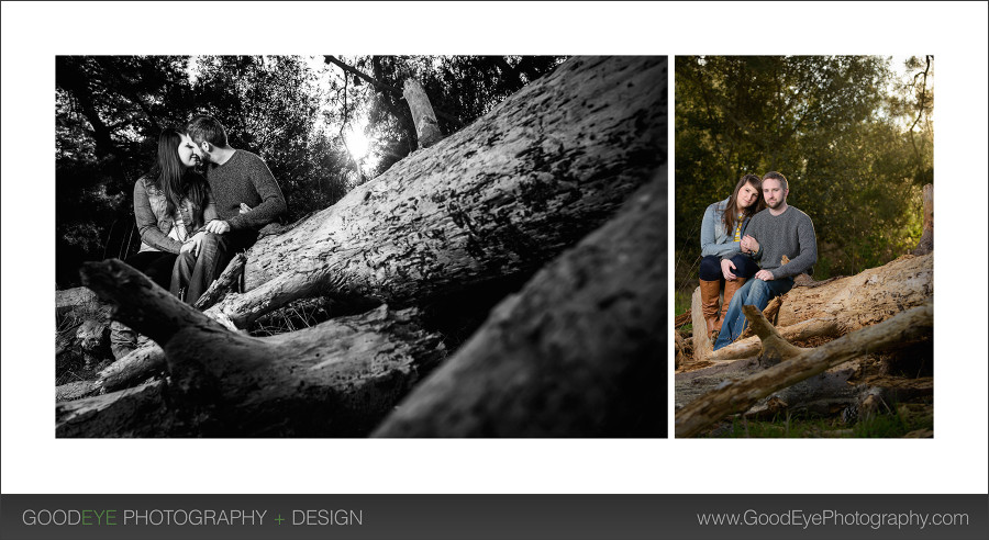 Natural Bridges Engagement Photos – Santa Cruz – photos by Bay Area wedding photographer Chris Schmauch www.GoodEyePhotography.com 