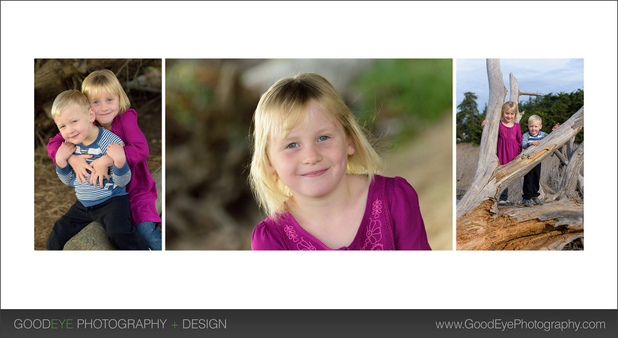 Santa Cruz family photos – Lighthouse Field & Dog Beach – by Bay Area family photographer Chris Schmauch www.GoodEyePhotography.com 