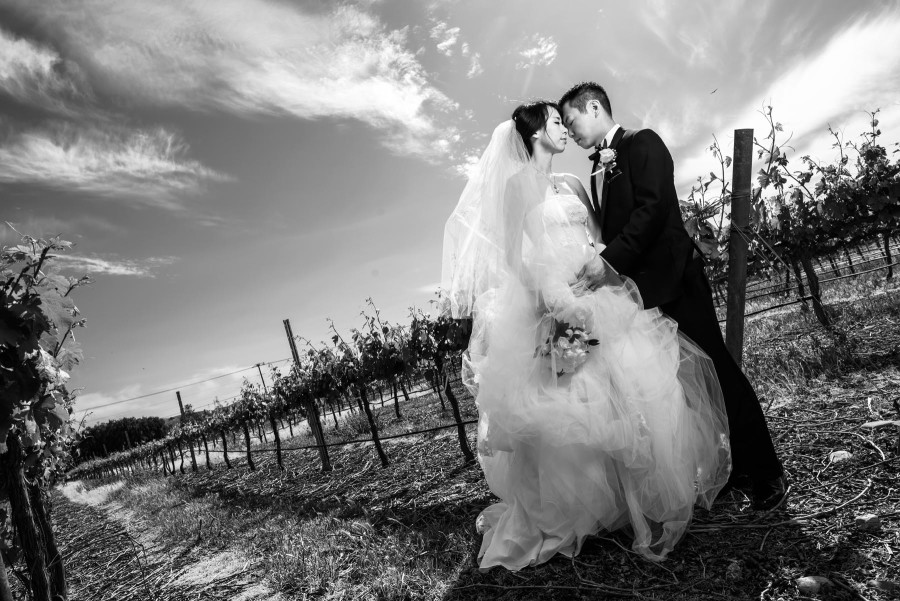 Wedding Photography at Concannon Vineyard in Livermore