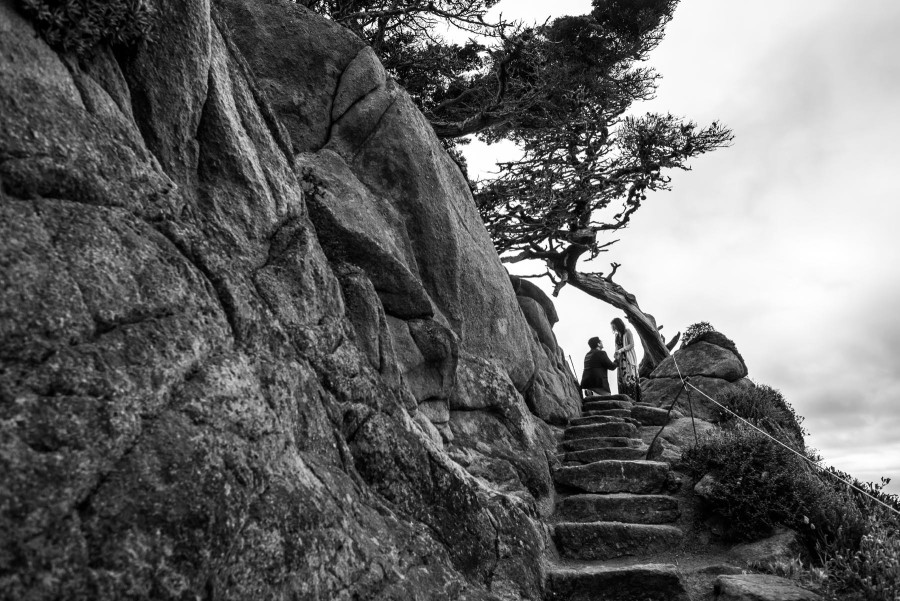 Proposal Photography at Point Lobos in Carmel