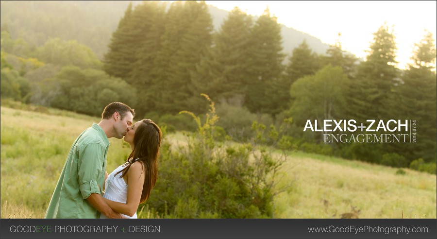 Henry Cowell Engagement Photos - Felton - Alexis and Zach - by Bay Area wedding photographer Chris Schmauch www.GoodEyePhotography.com