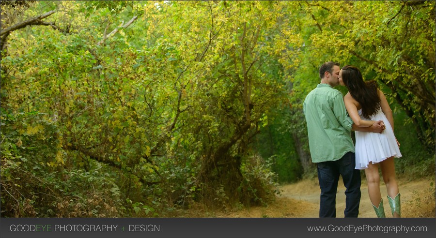 Henry Cowell Engagement Photos - Felton - Alexis and Zach - by Bay Area wedding photographer Chris Schmauch www.GoodEyePhotography.com