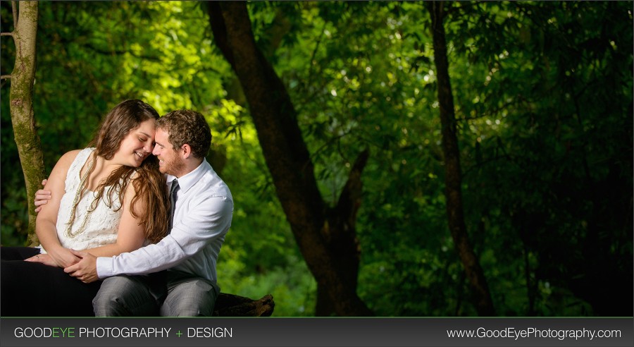 Abbie + Joe @ Henry Cowell, Felton - Engagement Photos by Bay Area Wedding Photographer Chris Schmauch www.GoodEyePhotography.com